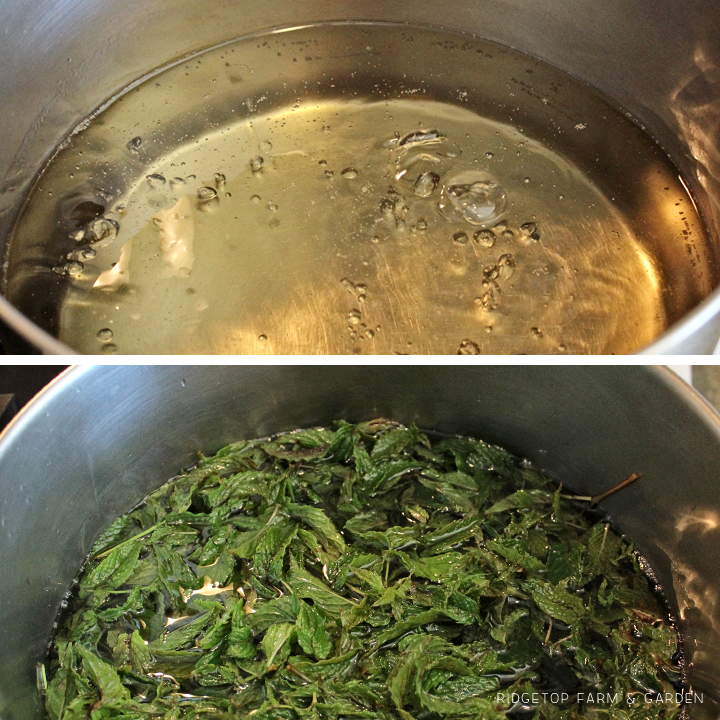 Ridgetop Farm and Garden | Recipe | Mint Simple Syrup