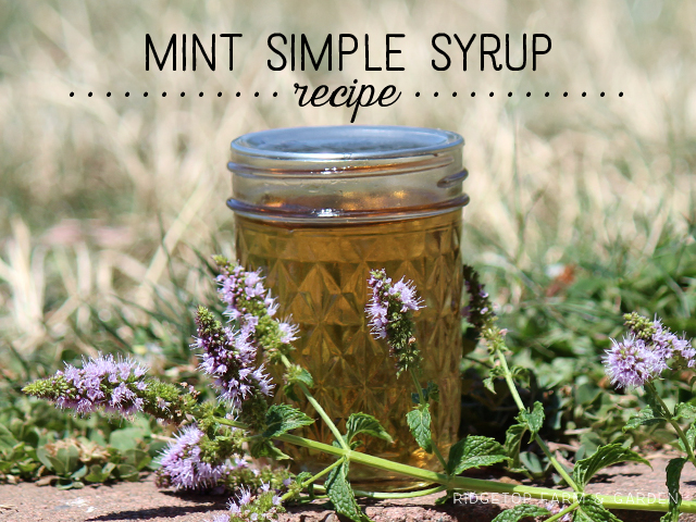 Ridgetop Farm and Garden | Recipe | Mint Simple Syrup