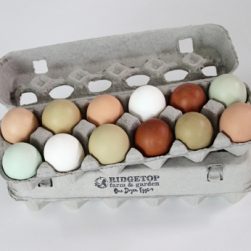 Poultry