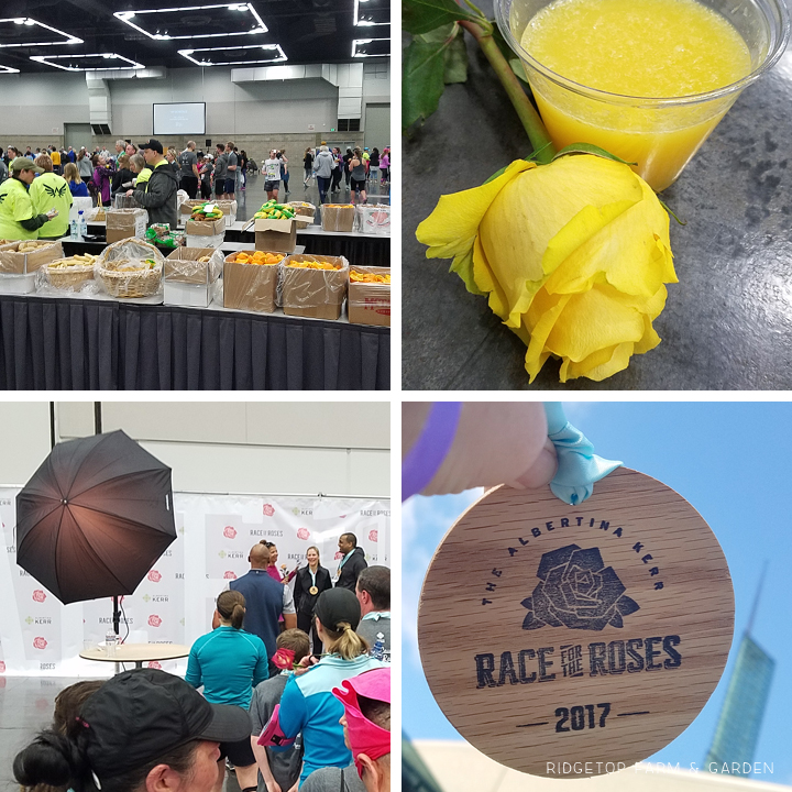 Ridgetop Runner | 2017 Race Recap | Race for the Roses