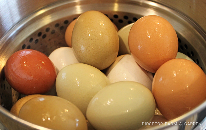 Ridgetop Farm and Garden | Recipe | Steam Eggs