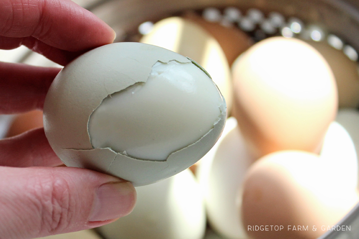 Ridgetop Farm and Garden | Recipe | Steam Eggs