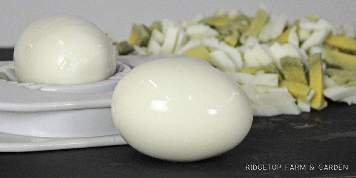 Ridgetop Farm and Garden | Recipe | Steam Eggs