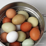 How to Steam Eggs