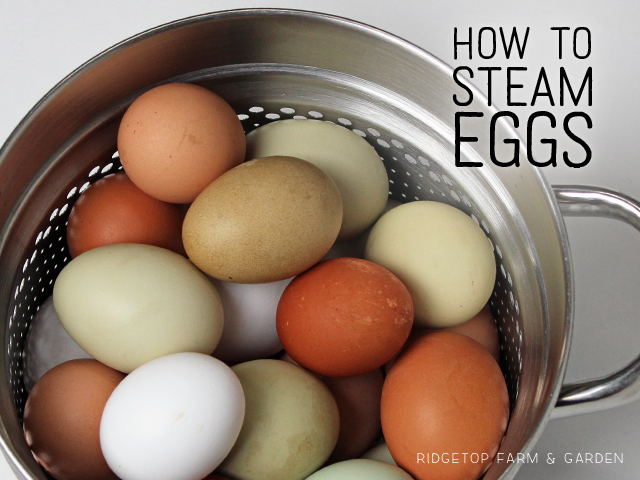 Ridgetop Farm and Garden | Recipe | Steam Eggs