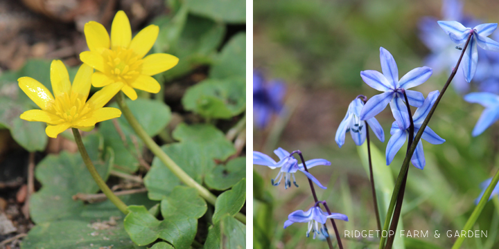 Ridgetop Farm and Garden | Travel |Germany | Nuremberg