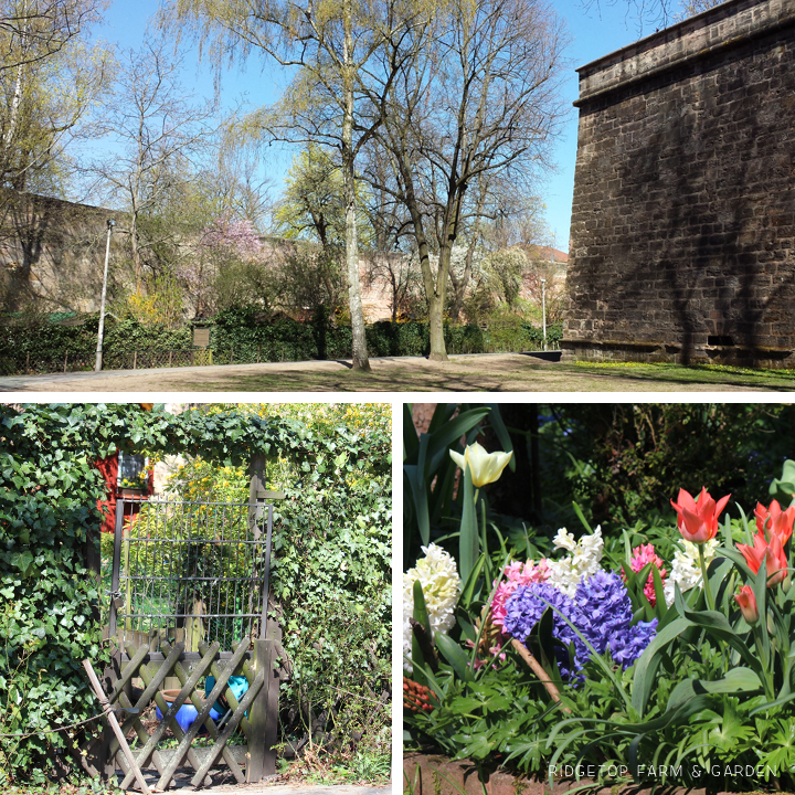 Ridgetop Farm and Garden | Travel | Germany | Nuremberg | Old Town