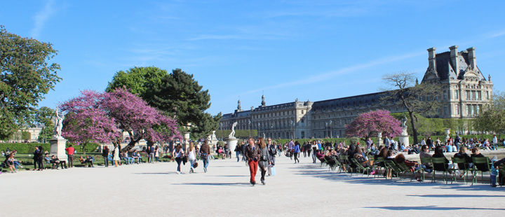 Ridgetop Farm and Garden | Travel | Paris | TUILERIES GARDEN