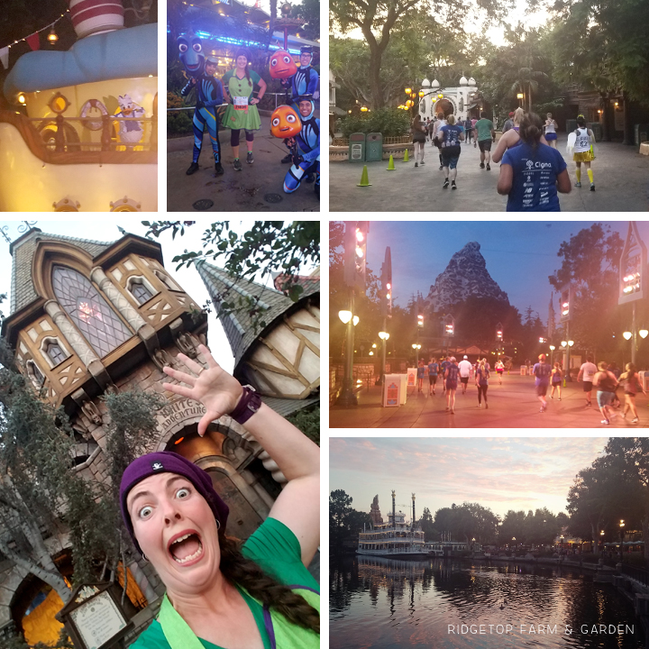 Ridgetop Runner | 2017 Race Recap | Disneyland 10K