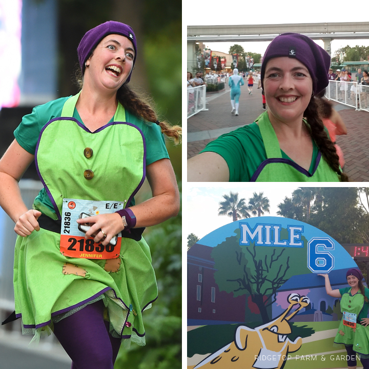 Ridgetop Runner | 2017 Race Recap | Disneyland 10K