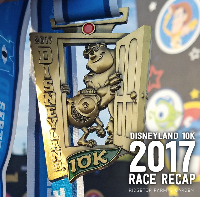 Ridgetop Runner | 2017 Race Recap | Disneyland 10K
