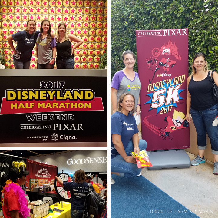 Ridgetop Runner | 2017 Race Recap | Disneyland 5K