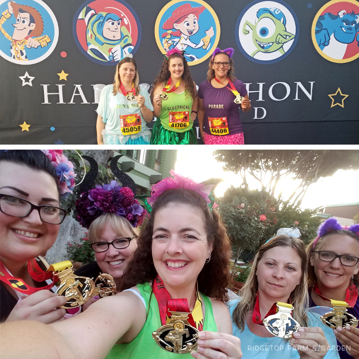 Ridgetop Runner | 2017 Race Recap | Disneyland 5K