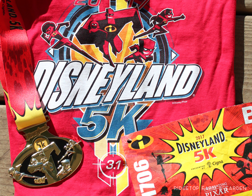 Ridgetop Runner | 2017 Race Recap | Disneyland 5K