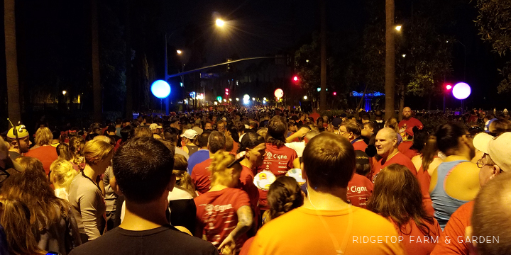 Ridgetop Runner | 2017 Race Recap | Disneyland 5K