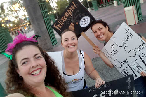 Ridgetop Runner | 2017 Race Recap | Disneyland 5K