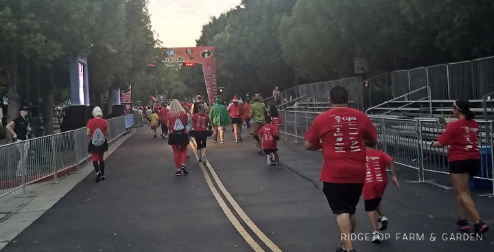 Ridgetop Runner | 2017 Race Recap | Disneyland 5K