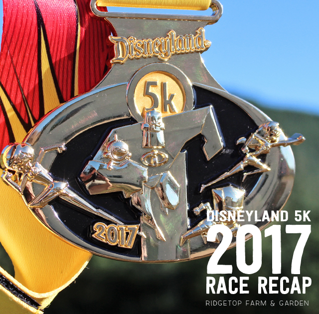 Ridgetop Runner | 2017 Race Recap | Disneyland 5K