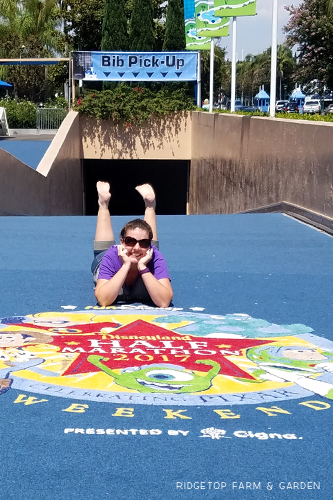 Ridgetop Runner | 2017 Race Recap | Disneyland Half Marathon | 40th Birthday