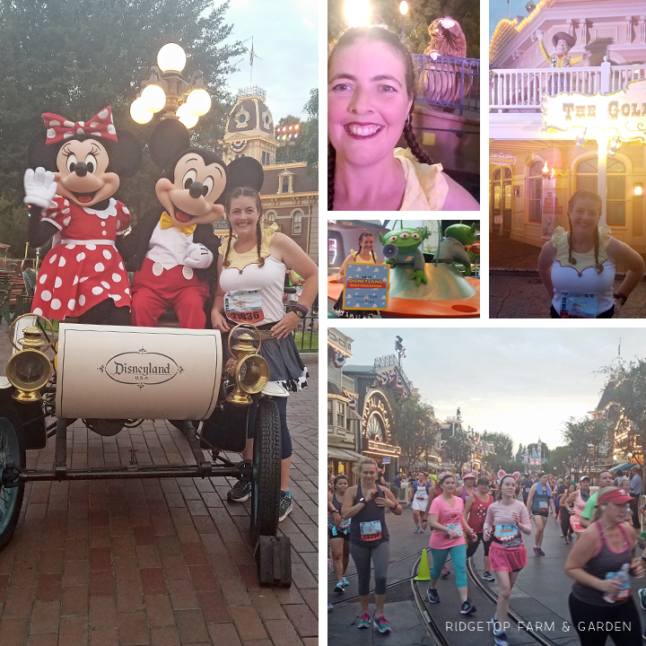 Ridgetop Runner | 2017 Race Recap | Disneyland Half Marathon | 40th Birthday