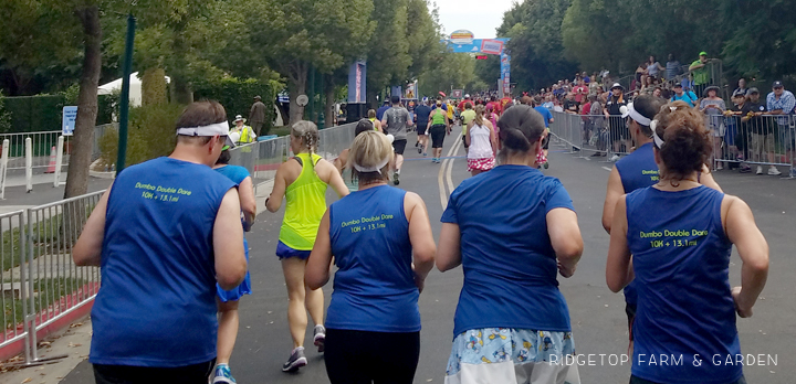 Ridgetop Runner | 2017 Race Recap | Disneyland Half Marathon | 40th Birthday