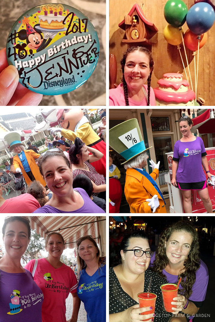 Ridgetop Runner | 2017 Race Recap | Disneyland Half Marathon | 40th Birthday