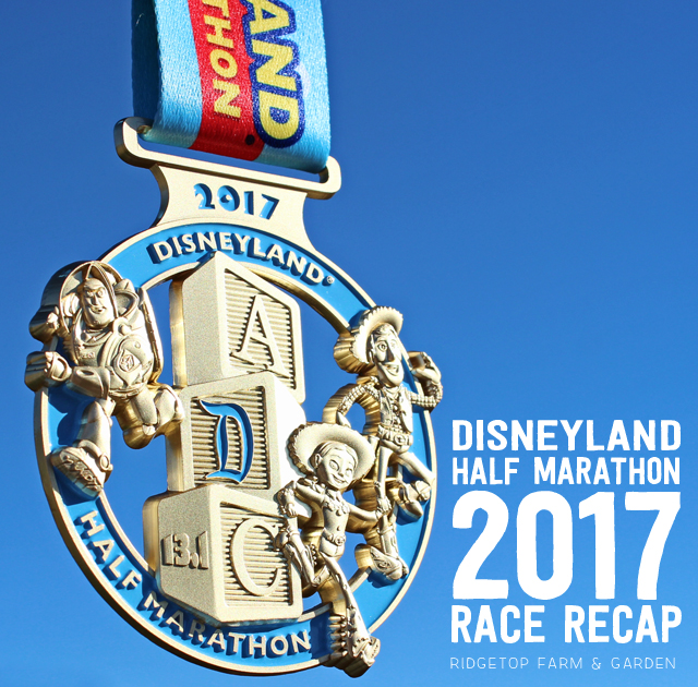 Ridgetop Runner | 2017 Race Recap | Disneyland Half Marathon | 40th Birthday