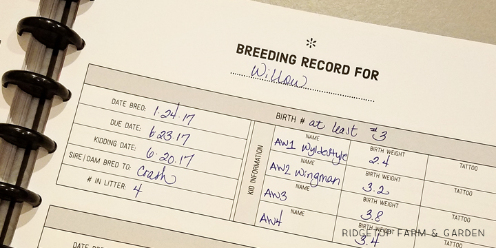 Ridgetop Farm and Garden | Homestead Record Keeping | Goat Records | Free Printable