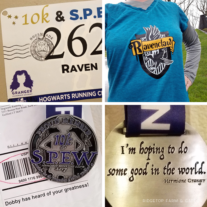Ridgetop Runner | 2017 Race Recap | Hogwarts Running Club | 10k SPEW