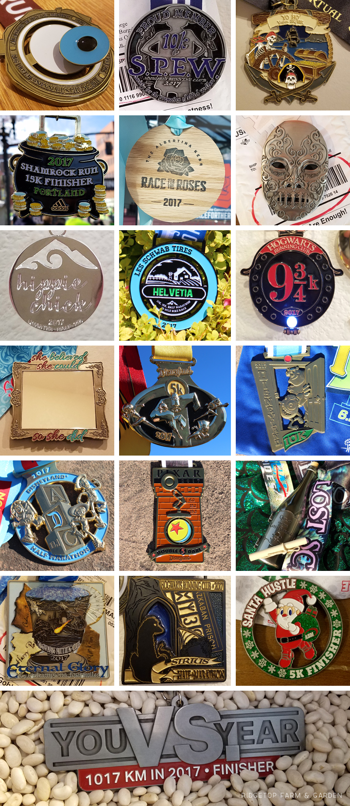 Ridgetop Runner | 2017 Yearly Recap