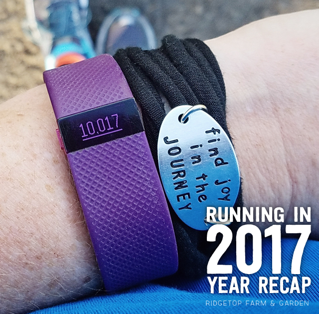 Ridgetop Runner | 2017 Yearly Recap