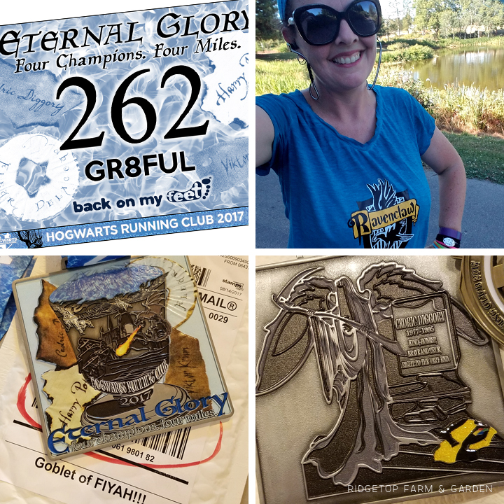 Ridgetop Runner | 2017 Race Recap | Hogwarts Running Club | Eternal Glory 4 mile