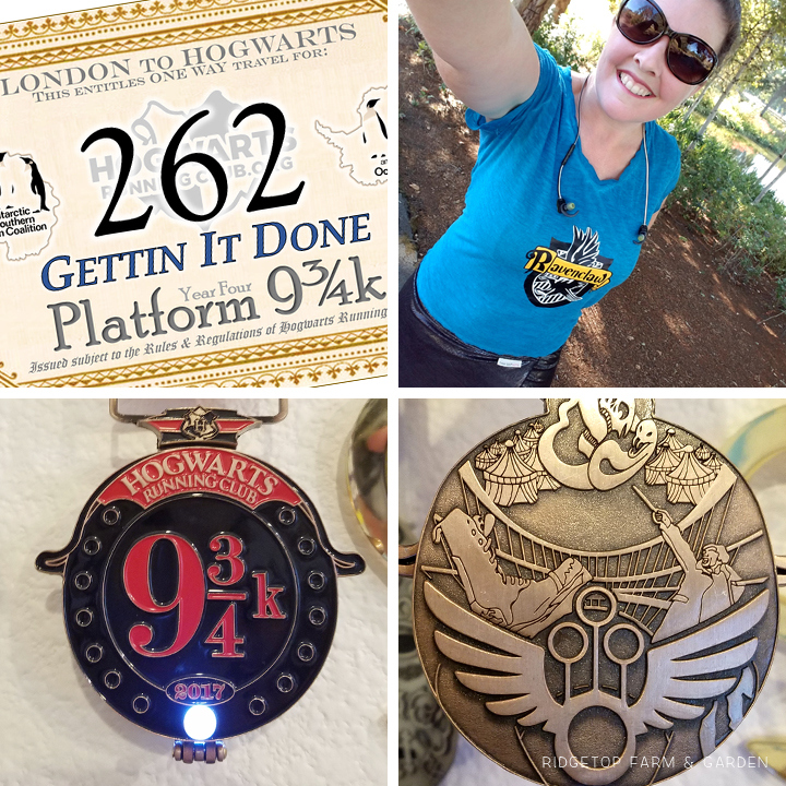 Ridgetop Runner | 2017 Race Recap | Hogwarts Running Club | Platform 9 3/4k