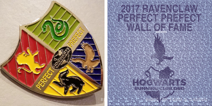 Ridgetop Runner | 2017 Race Recap | Hogwarts Running Club | Perfect Prefect