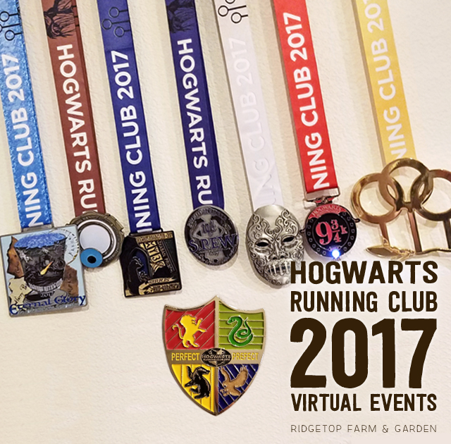 Ridgetop Runner | 2017 Race Recap | Hogwarts Running Club