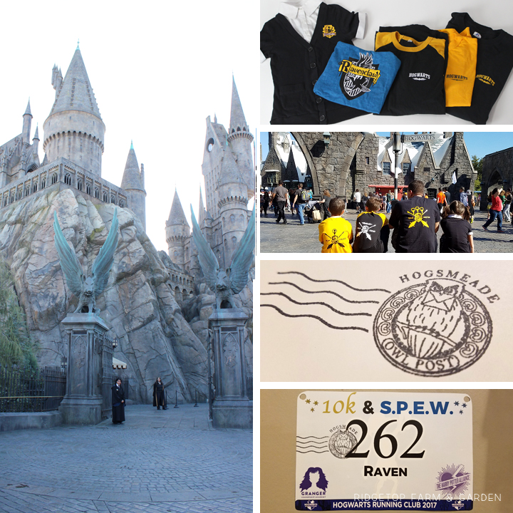 Ridgetop Runner | 2017 Race Recap | Hogwarts Running Club | Universal Studios Hollywood