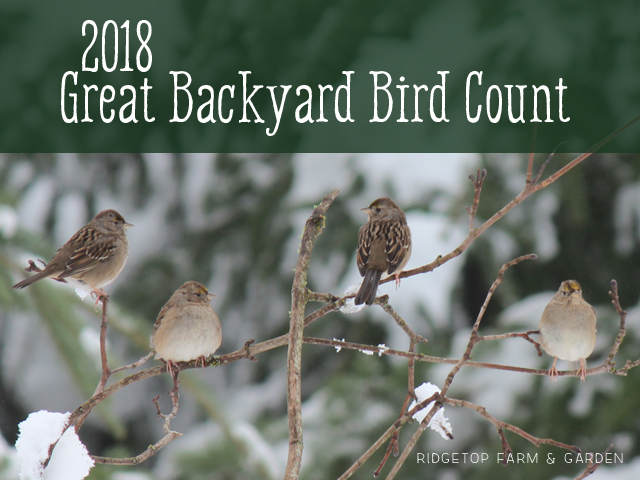 Ridgetop Farm and Garden | 2018 Great Backyard Bird Count