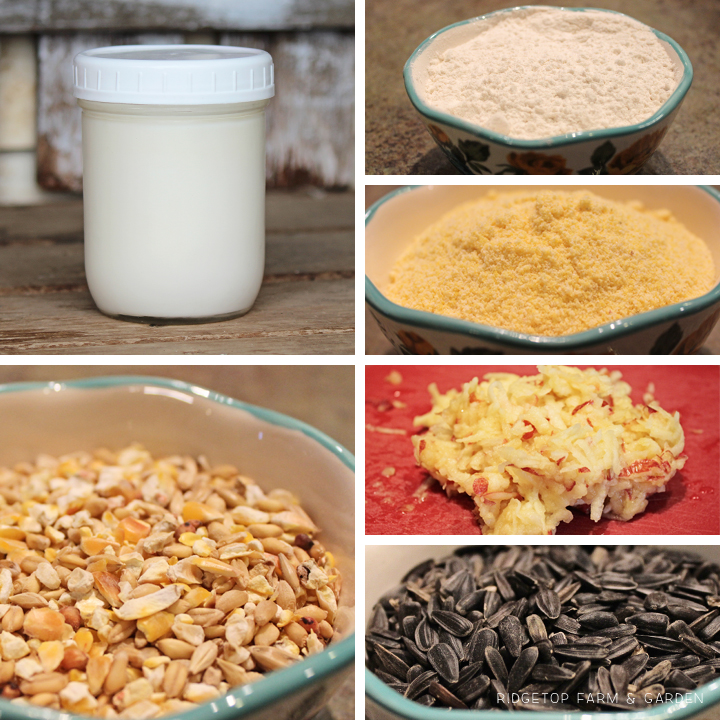 Ridgetop Farm and Garden | How to Make Suet