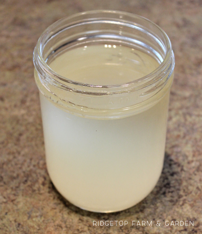 Ridgetop Farm and Garden | How to Render Lard