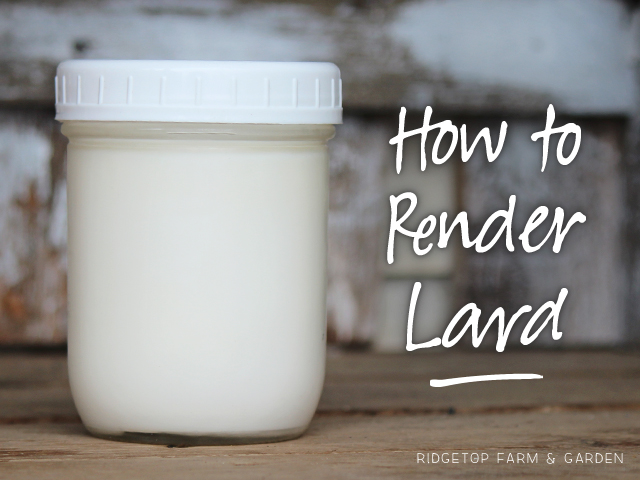 Ridgetop Farm and Garden | How to Render Lard