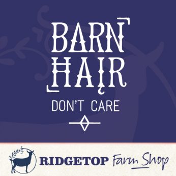 Ridgetop Farm Shop | Barn Hair Don't Care Vinyl Decal
