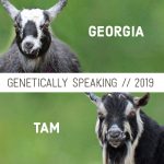 2019 Georgia & Tam Breeding