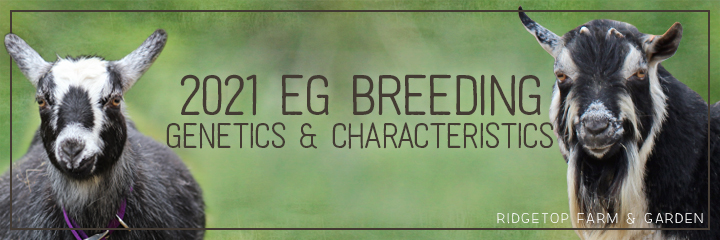 2021 Georgia & Tam Breeding | Ridgetop Farm and Garden