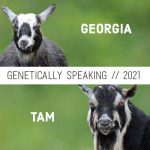 2021 Georgia & Tam Breeding