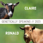2023 Claire & Ronald Breeding