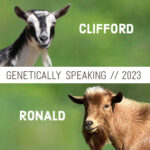 2023 Clifford & Ronald Breeding
