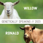2023 Willow & Ronald Breeding