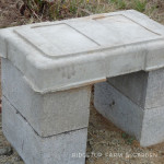 DIY Cement Bench