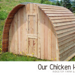 Our Chicken Huts