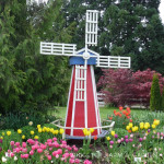 Tulip Fest 2010